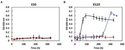 An essential role of the reversible electron-bifurcating hydrogenase Hnd for ethanol oxidation in Solidesulfovibrio fructosivorans